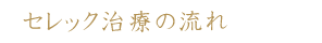 セレック治療の流れ